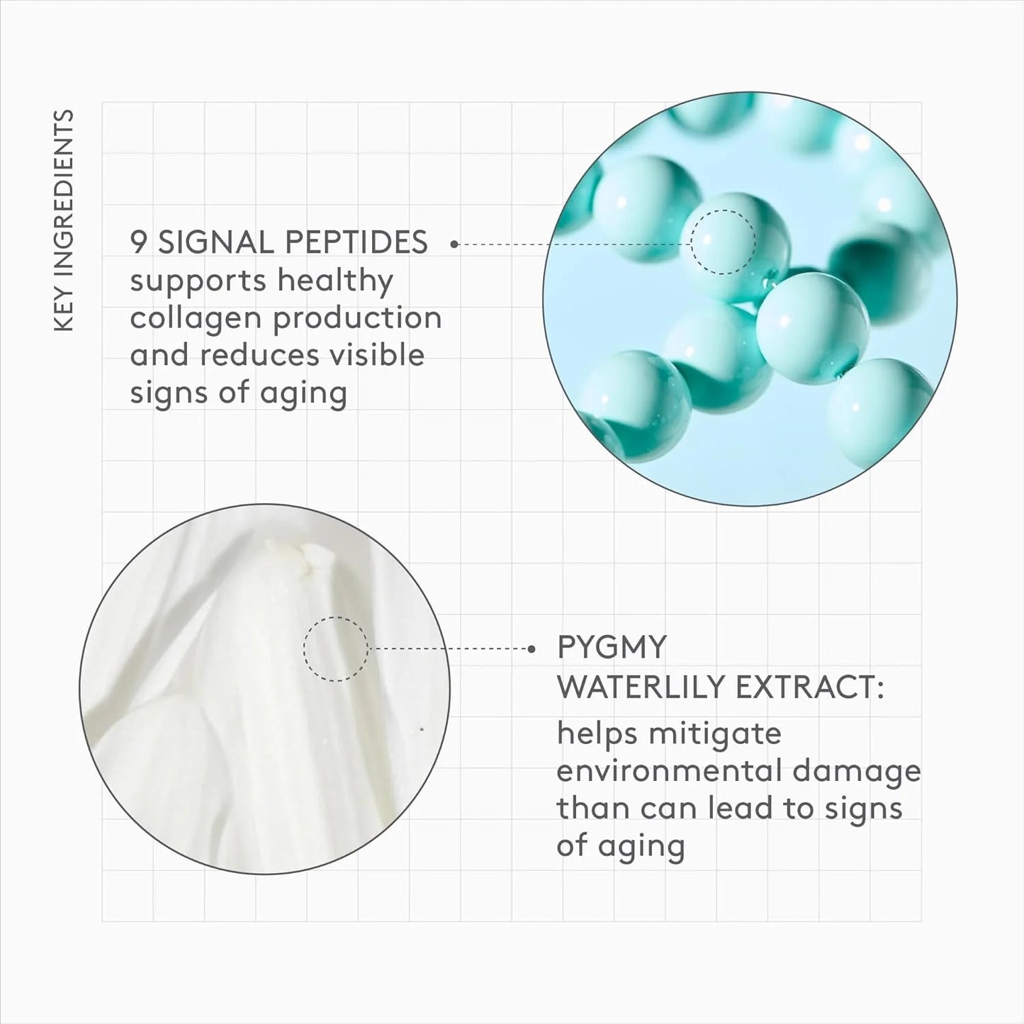 Drunk Elephant Protini Polypeptide Cream 50Ml – Peptide Moisturizer for Hydration, Firmness & Texture (All Skin Types)